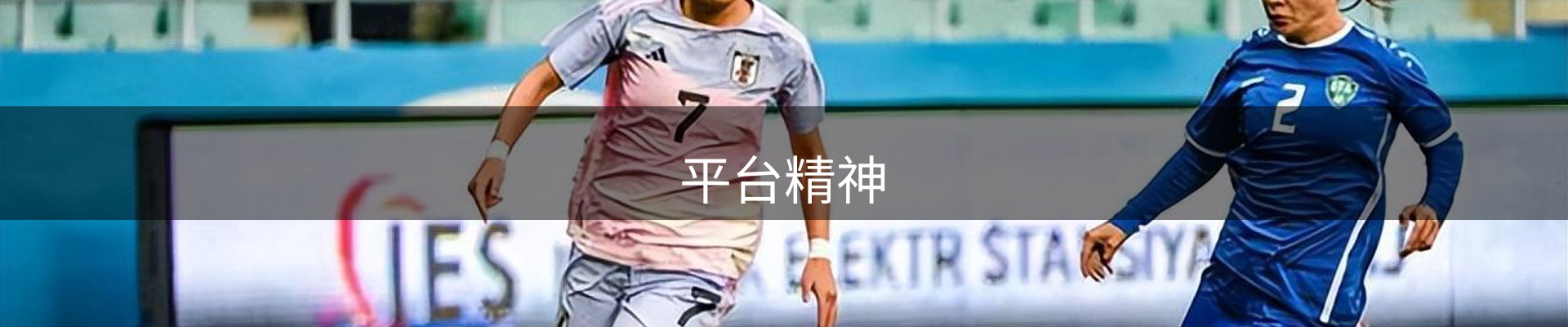 平台精神
